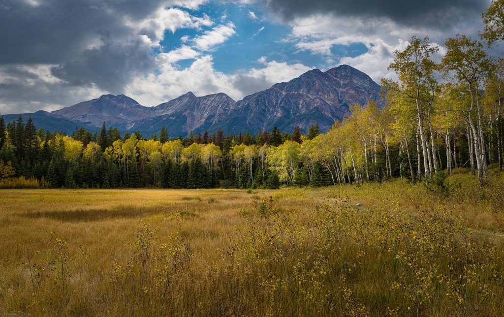 mountains, trees, fields